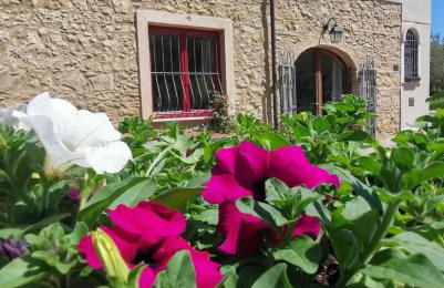 Le Giuncaie - Vigna con alloggio - Foto 24