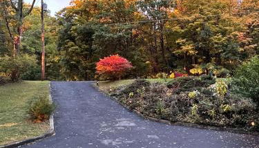 Cayuga lake cottage with private lake access - Foto 4