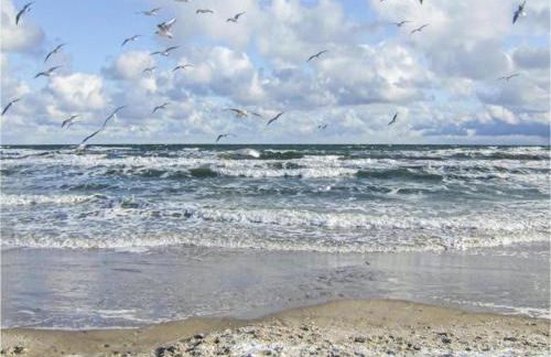 Ferienhaus in Damshagen Nahe Ostsee - Foto 46