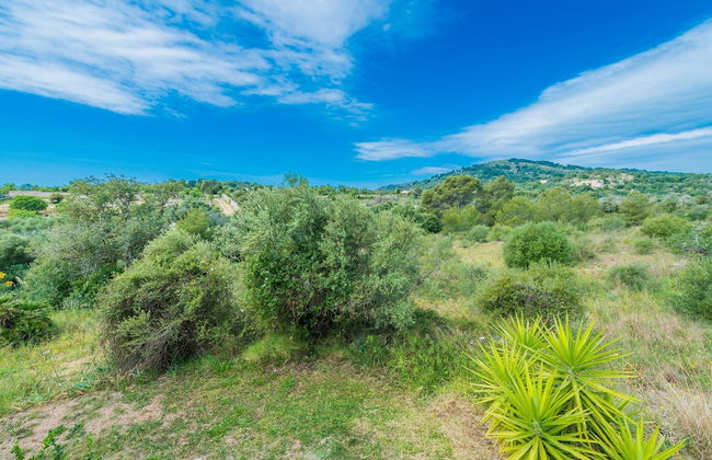 Can Canals in Art With 5 Bedrooms and 4 Bathrooms - Foto 35