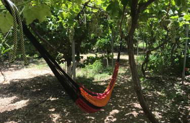 Seaside Studios Arkasa Karpathos - Photo 29