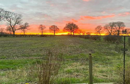 The Stables - Photo 15