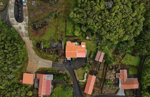 Casa da Mãe - Entre o Pico e a Maré - Photo 52