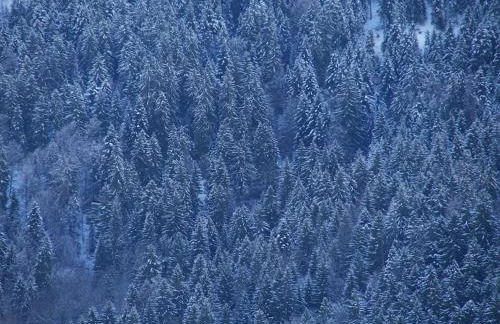 Chalet montagne Savoie Domaine Skiable Valmorel - Foto 34