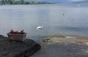 house Benedetta & Gloria on the lake - Foto 62