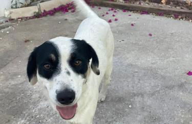 Casa na Quinta - Foto 29