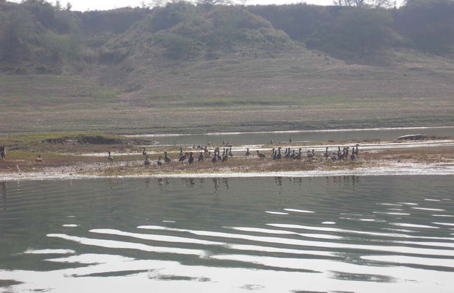 Chambal Valley Safari - Foto 2