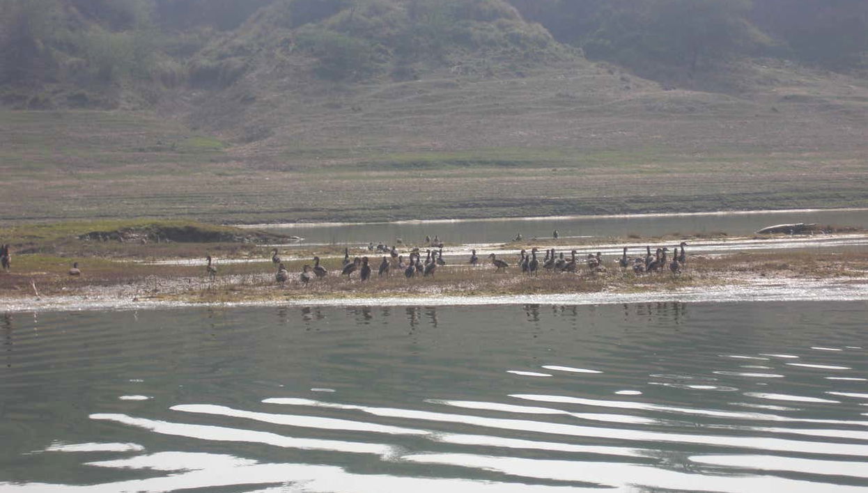 Chambal Valley Safari - Foto 2