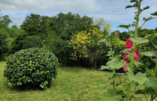 La 154 - Second Souffle - Cherbourg - Foto 20