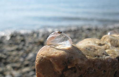 Maison sur la Presqu'île de Plougastel - Foto 22