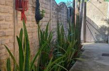 chale gr house bf - Foto 3