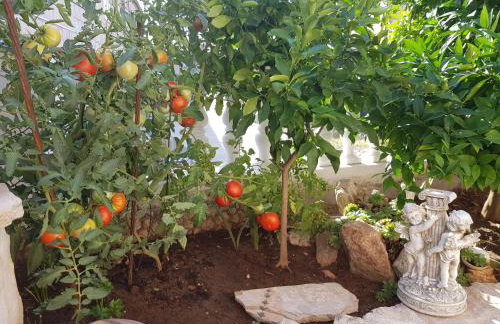 Kuća ILIRIA - Foto 30