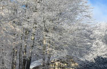 Beech Mountain Swiss-style Chalet - Foto 3