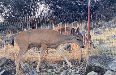 Lakeview Haven House - Foto 28