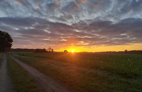 Gabis Ferienwohnung Bendingbostel - Foto 30