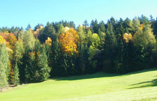 Appartments Neuhof - Photo 46