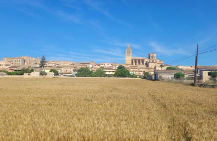 Finca La Linda - Foto 27