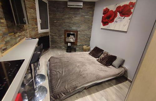 Studio les 2 Alpes au Village 1800m-Commerces et télésiège à 50m-Retour ski au pied - Photo 13