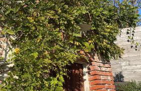 La casa di Noah - Foto 15