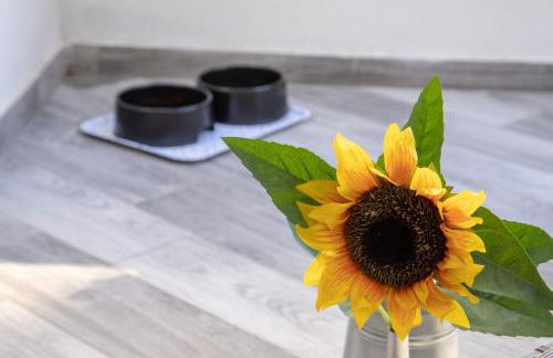 Donna Carmen Casa Vacanze - Photo 32