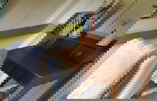 Dreamers Writing Farm - Foto 12