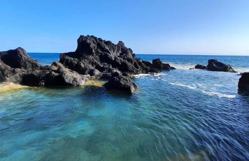 QVA - Quinta Velha das Amoreiras - Photo 3