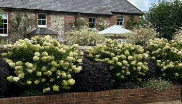 Idyllic rural retreat - Foto 5, Garden