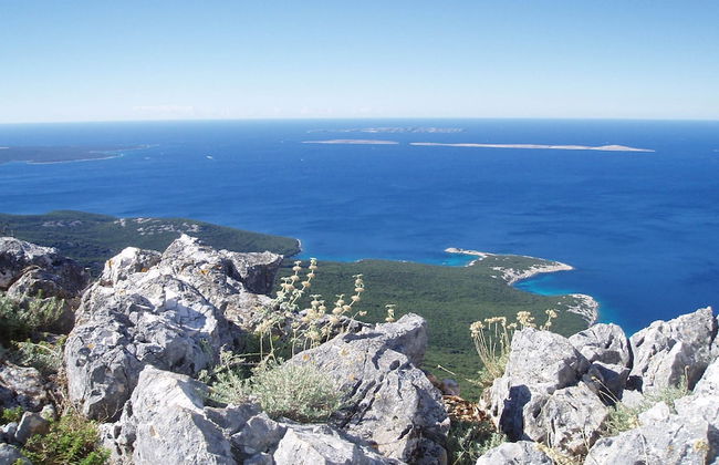 Unique Antistress Oasis Villa Antiqua - Foto 58