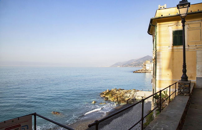 Il Mare di Camogli da un obl - Foto 15