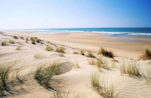 Saint Cyprien Golf View 2 bedrooms Apartment , 900 m from the beach - Photo 31