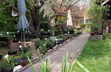 Kräuter-Heidi Garten - Foto 1