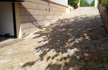 Buenavista - Foto 36