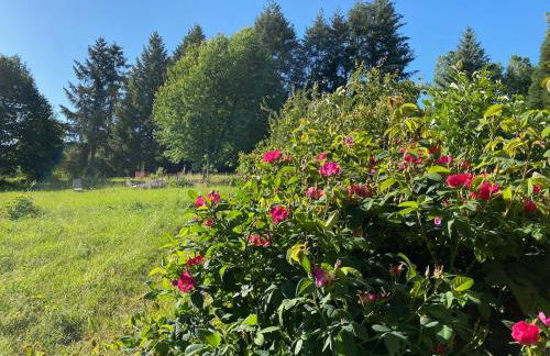 Öko-Fachwerkhaus am Schwarzwald - Foto 4