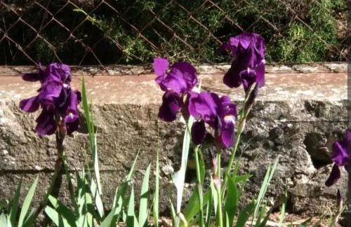 Increíble Casa Rural en la Sierra de Altomira Piscina privada y Barbacoa - Foto 53