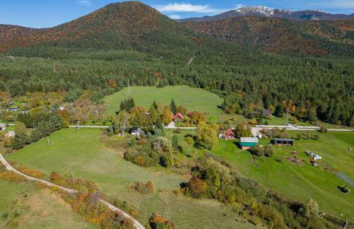 Magnus Lupus - Foto 38