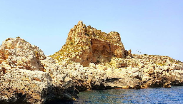 Glass Bottom Boat Tour - Foto 4