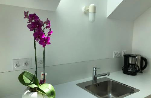 La Maison de la Douce Heure, 4 appartements climatisés avec jardin au centre ville proche des Thermes - Foto 21