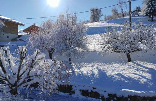 La Tanière - Foto 20