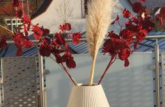 Marie´s Sonnenterrasse - Photo 17