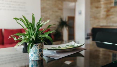 Panphilia: Holiday Apartment - Foto 2