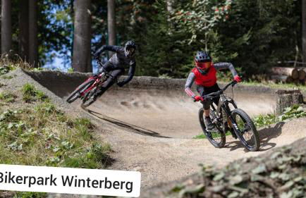 Ferienwohnung Panoramablick Postwiese - Foto 27