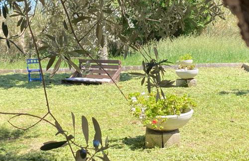 Adamasseria - Foto 33