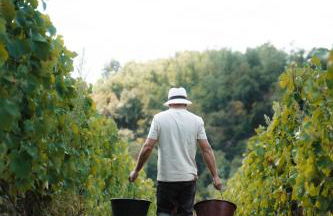 Gîte Clusel-Roch 6 personnes au cœur des Côte-Rôtie - Foto 7