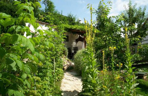 Das Steghaus - Photo 19