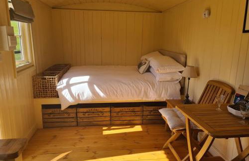Shepherd's Hut in heart of the Brecon Beacons - Photo 9