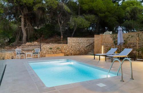 Iliana Exclusive Villa - Private Pool - Foto 16