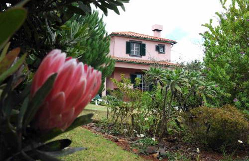 Quinta de Santo António da Serra - Foto 85