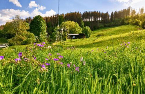 Harz Ferienwohnung Mühlenteich - Natur, Ruhe & Wandern - Foto 21