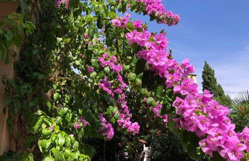 Appartamento villatorretta24 - Photo 2