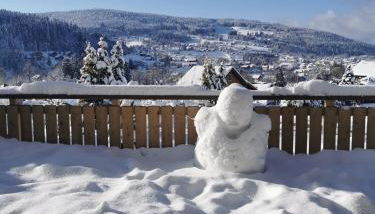 Nouveau Chalet M.META 12 pers sauna,jacuzzi,billard - Foto 2